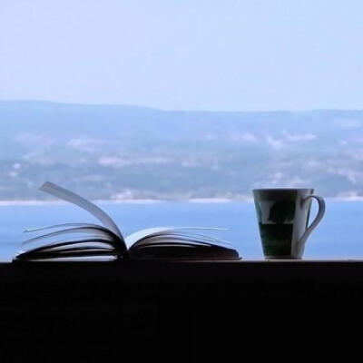 面朝大海,一杯茶,一本书.