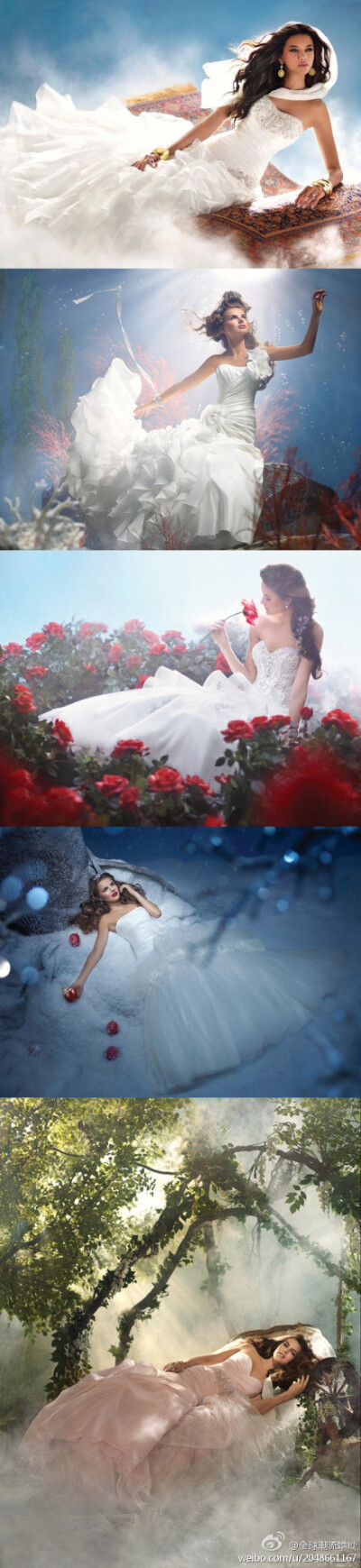 又在等待哪位王子来将你吻醒呢?(婚纱来自disney-2012的梦幻婚纱)