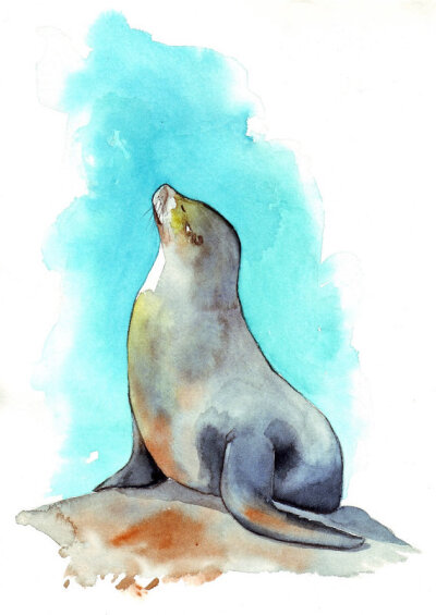 好高雅的海豹~seal painting animal print of watercolor painting