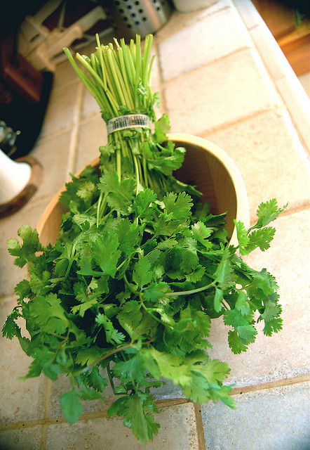 所以香菜又叫 chinese parsley coriander,是"芫荽,芫荽是香菜的学