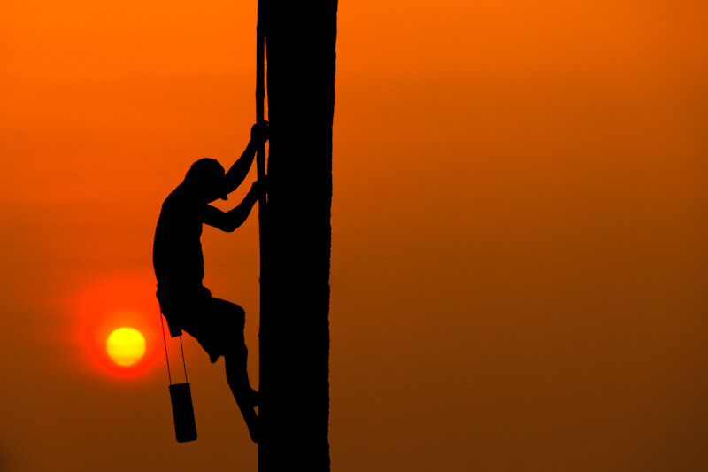 photograph palm tree man by la mo on 500px