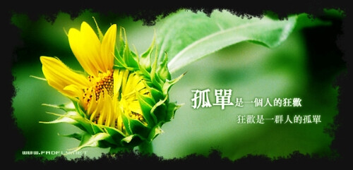 cn容忍的人其实并不笨,只是宁可对自己残忍,既然爱不能恒温,祝福就