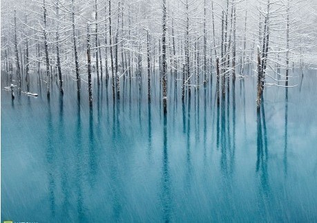 这个蓝色池塘是日本北海道美瑛的一个著名旅游景点 无论春夏还是秋季 这里都会聚集大量游客 观赏美丽的景色 由于在冬季时池塘冰冻 很少有人到这里观光 堆糖 美图壁纸兴趣社区