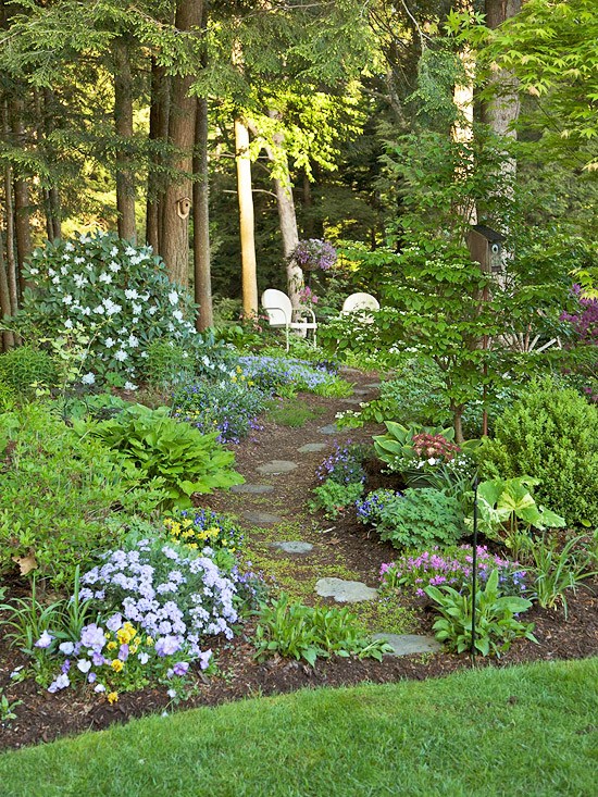 garden / shade garden