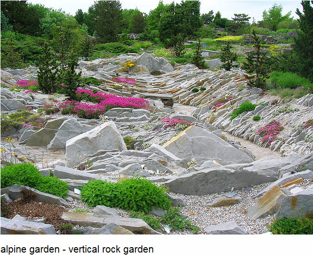 rock garden 岩石花园