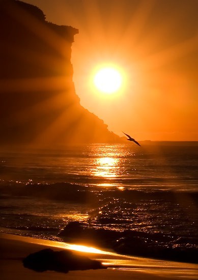 沉落的夕阳将余晖洒向大海,爱上这样的落日余晖.