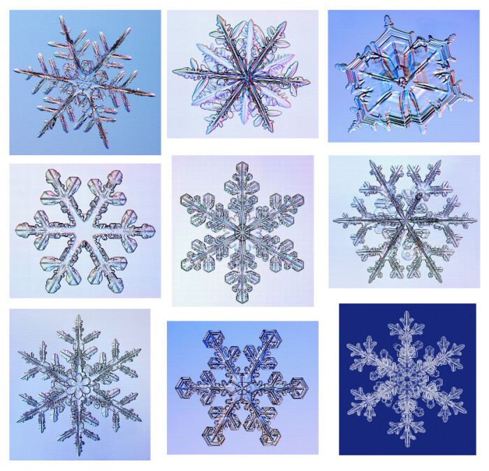 世上没有两朵相同的雪花雪花的照片来自kenneth Libbrecht 一位美国物理学教授 据他研究如果天气不够冷雪花不会出现太好看的结晶 堆糖 美图壁纸兴趣社区