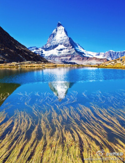 一生需要见一面,这样的景色,雪山草地蓝湖水,天空悠远辽阔.