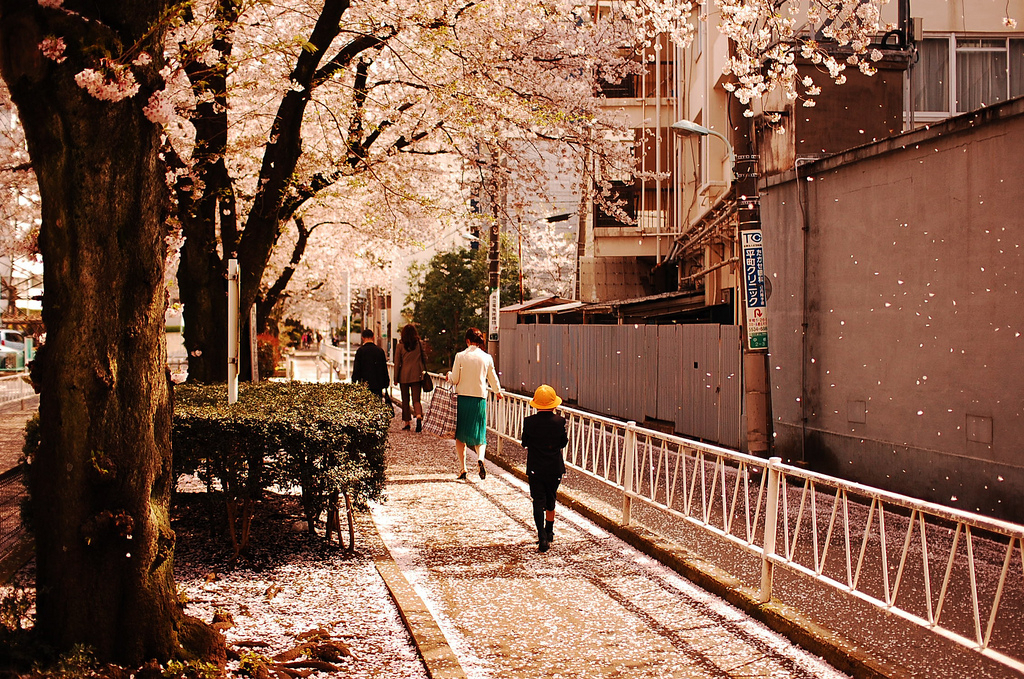 旅行时路过的风景,温めの春そっとなでる开 堆糖,美图壁纸兴趣