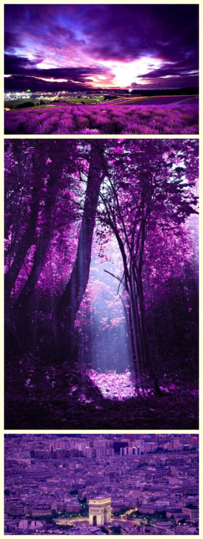 收集   点赞  评论  神秘的紫色仙境 0 1 墨染铮衣  发布到  唯美
