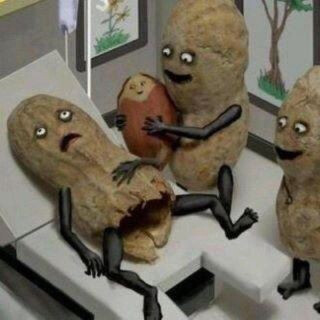 花生宝宝