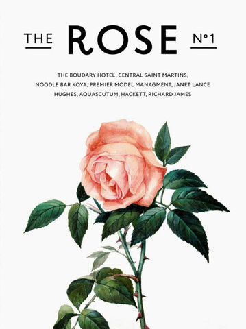 rose 玫瑰