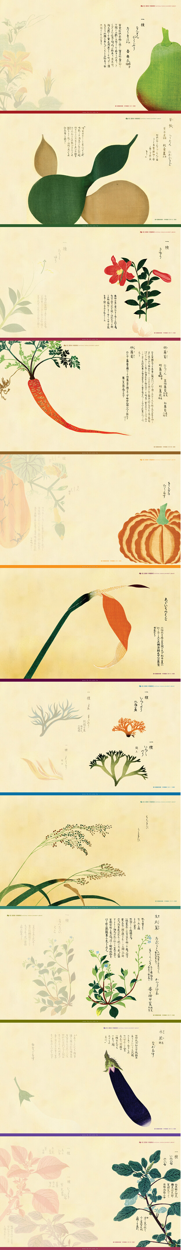 国立台湾大学图书馆发布的12年桌布 12年选取的是日本画家岩崎常正画的 本草图谱 堆糖 美图壁纸兴趣社区