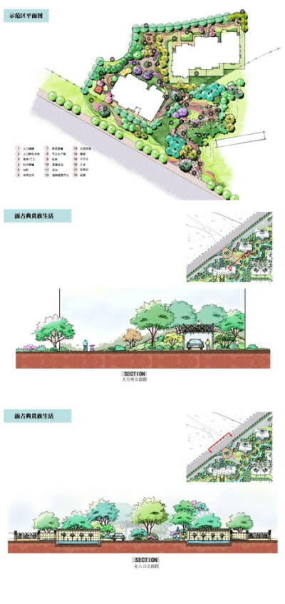 设计 景观设计 景观文本 方案 手绘 上海保利楼盘景观手绘剖面图 http