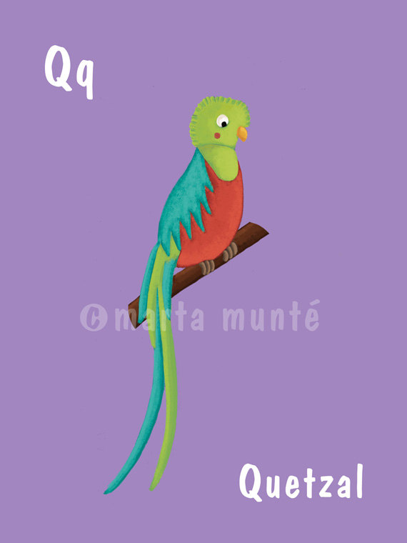 Q的格查尔。 西班牙语字母艺术打印