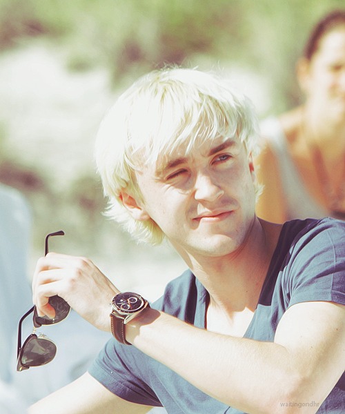 我的爱!tom felton!