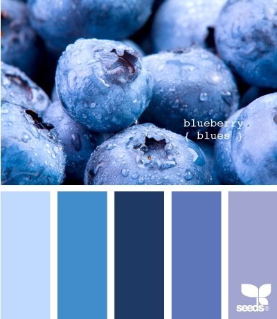 blueberry blue 蓝莓蓝