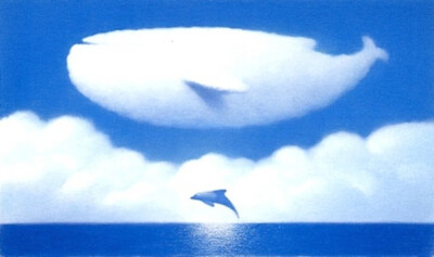 鲸与海豚