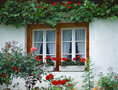 31ec75fb586569456c22eb17,窗户,欧洲,风景,鲜花,花卉