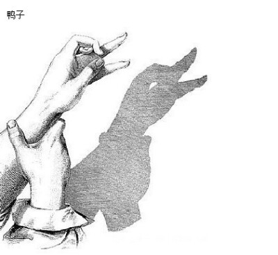 影子游戏