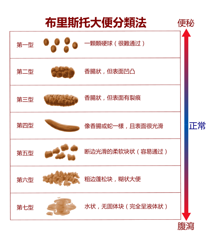 布里斯托大便分类法(bristol stool scale)