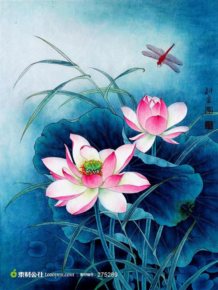 中国国画蜻蜓荷花国画艺术欣赏图片素材