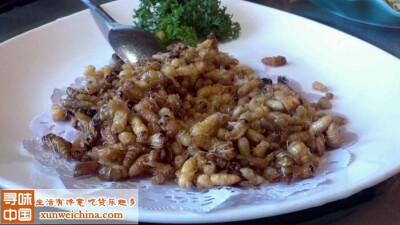 甘思咪哚云南风味餐厅 的#炸蜂蛹:蜂蛹一般为胡蜂,黄蜂,黑蜂,土蜂
