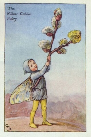 the willow-catkin fairy.插画师:cicely mary barke