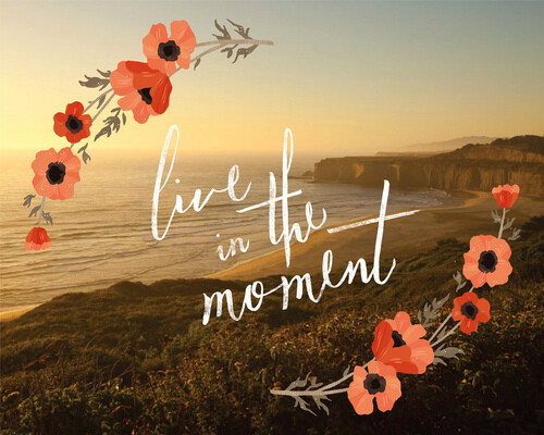 活在当下 live in the monent