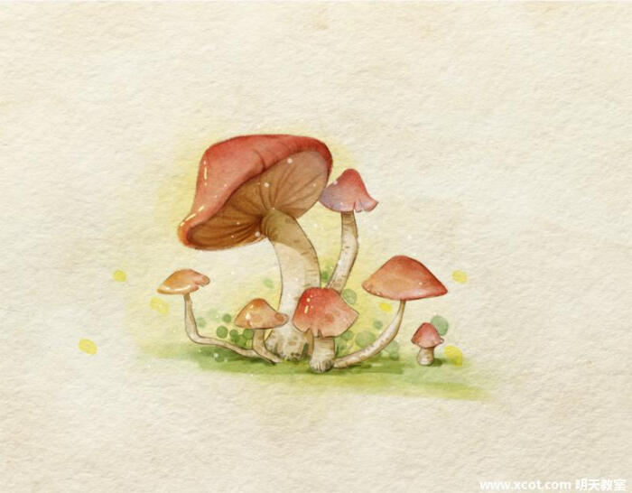 很可爱的蘑菇啊