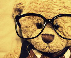 teddy bear spectacles