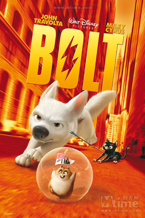 bolt2008汪星人喵星人和吐槽鼠幸福的生活