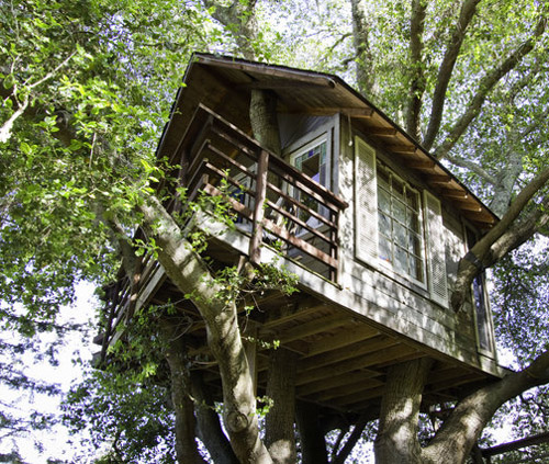 treehouse-airbnb
