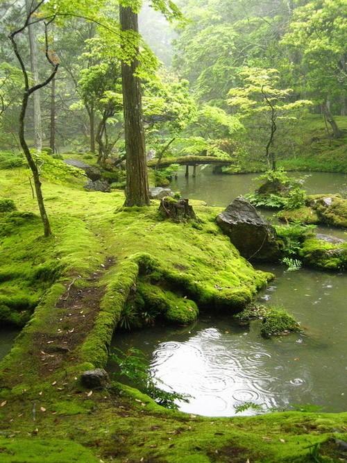 京都西芳寺