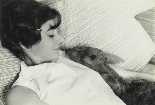  "Audrey Hepburn Deer Pet: A Timeless Beauty Meets Our Modern Furry Friends"