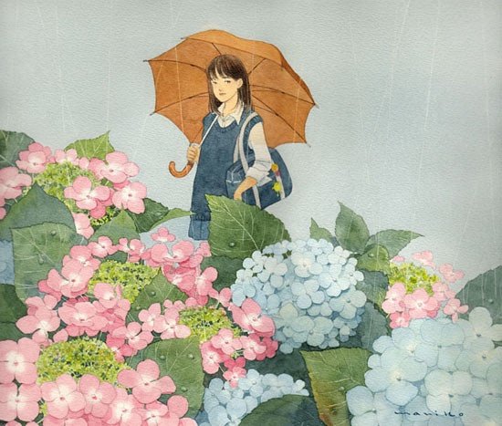 梅雨季节盛开的紫阳花 堆糖 美图壁纸兴趣社区