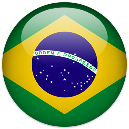 巴西国旗样式