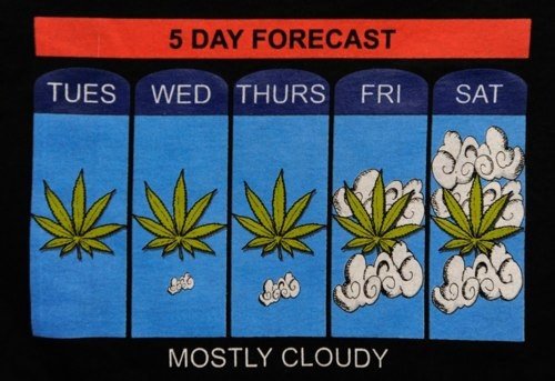 weed forecast.
