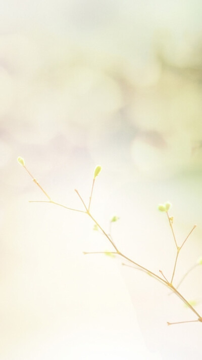 桌面壁纸,平铺壁纸,文字壁纸,二次元壁纸,人物壁纸,萌物壁纸,手机壁纸