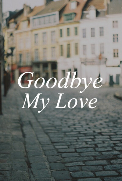 goodbye my love