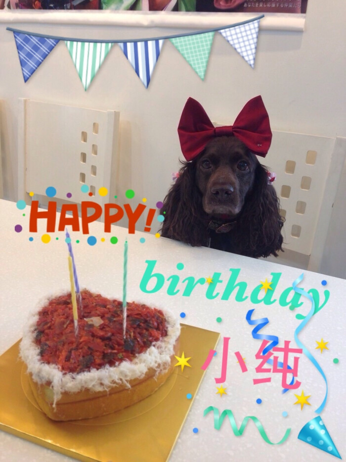 小狗纯的诞生日狂贺 多吃些长胖点小纯 圆滚滚 因为我今天很忙就这样吧 咚咚 昨天是索菲 马吉拉 安托瓦内特 小纯的生日 小纯是张根硕 장근석 Jang Keun Suk 的狗狗 堆糖 美图壁纸兴趣社区 小狗纯的诞生日狂贺 多吃些长胖点小纯 圆滚滚 因为我今天很忙就这样吧 咚咚 昨天是索菲 马吉拉 安托瓦内特 小纯的生日 小纯是张根硕 장근석 Jang Keun Suk 的狗狗 堆糖 美图壁纸兴趣社区