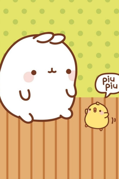 兔子