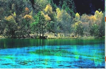 第十六站,四川九寨沟 中国最美湖泊 在九寨沟随处可见迷人的高山湖泊