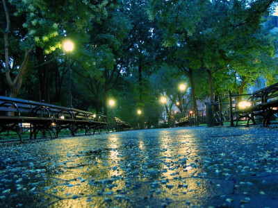 雨天 美国纽约市的联合广场公园.