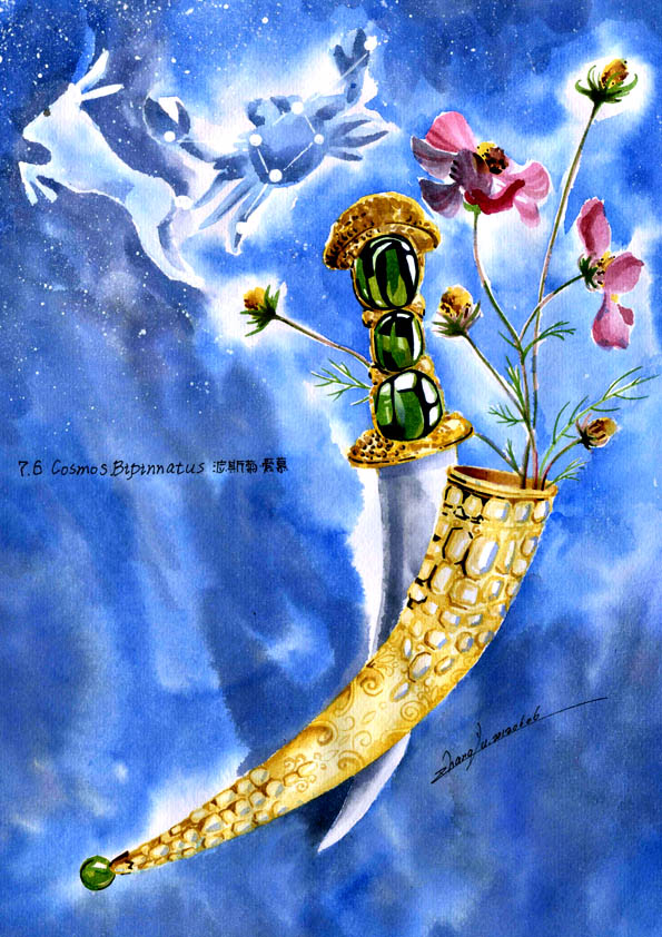 Jade Cheung 私享定制 手绘插画 生日花 7月6日波斯菊 Cosmos Bipinnatus 花语 爱慕 对特别的他说出花语的表白 堆糖 美图壁纸兴趣社区