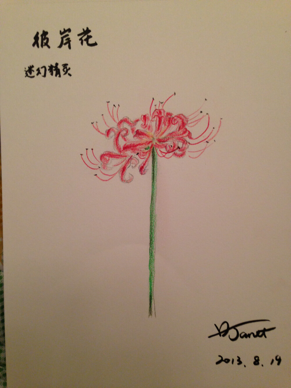 彼岸花 