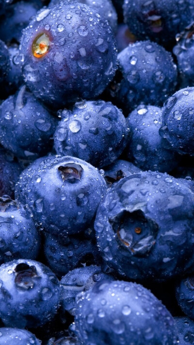 蓝莓iphone5手机壁纸