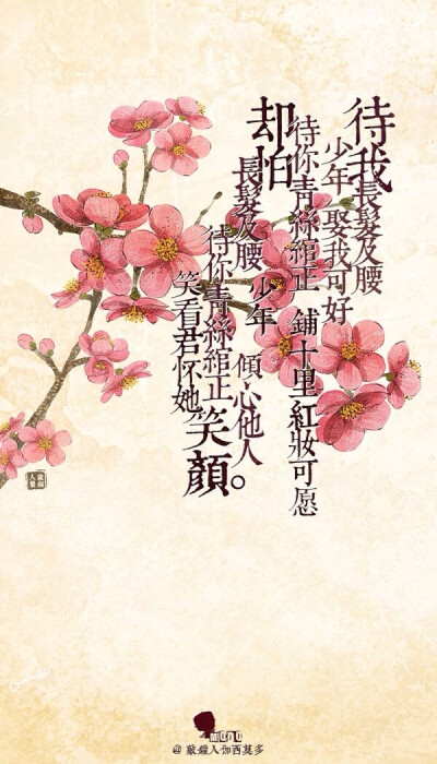 九月花字