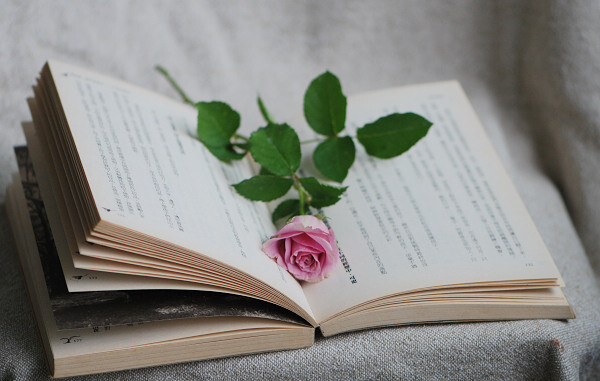 花与书女人最美的情人