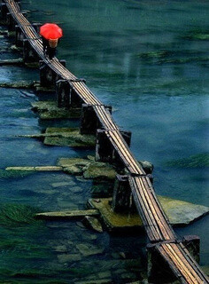 乡村的独木桥